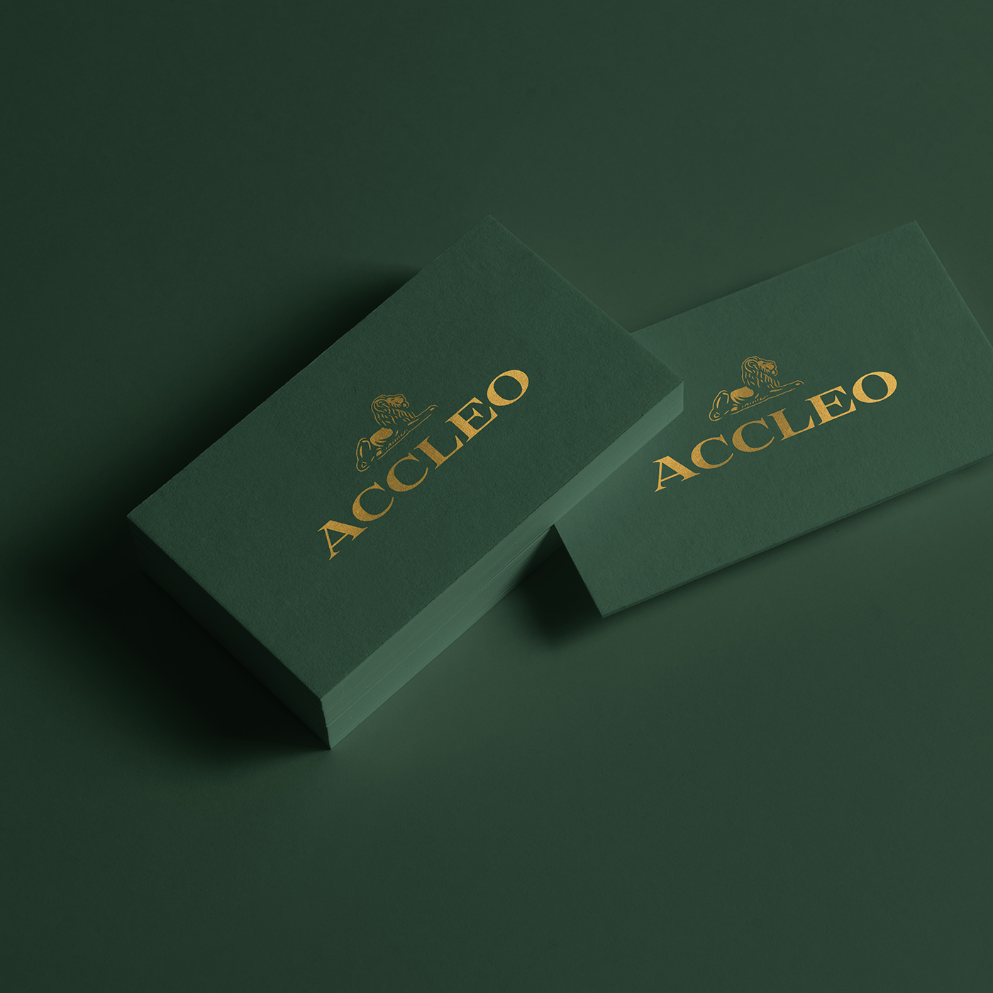 Accleo CPA accounting and tax firm brand identity business cards