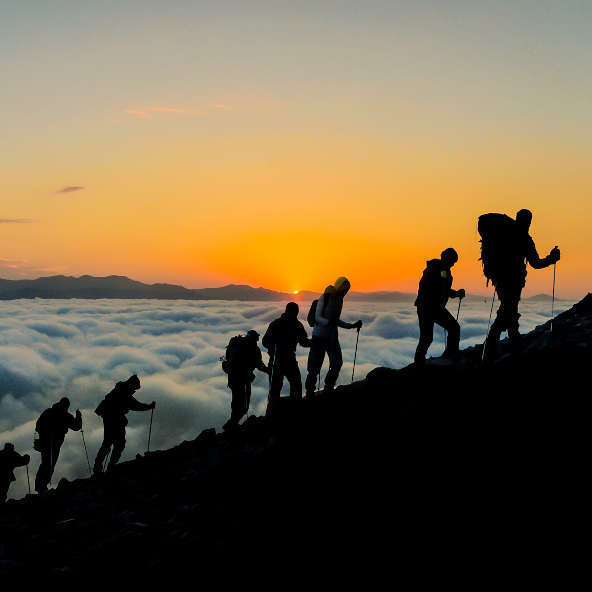 marketing services for financial advisors